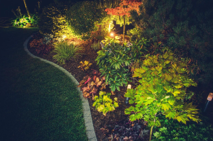 Petit jardin aménagement