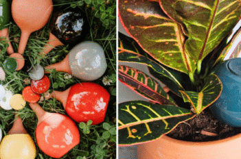 Ollas à planter