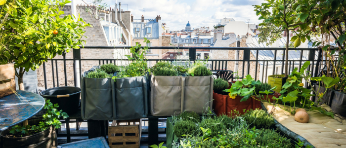 Jardinière bacsac sur balcon