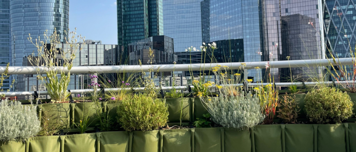 BACSAC sur la terrasse d'une ville