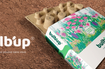 bulb up