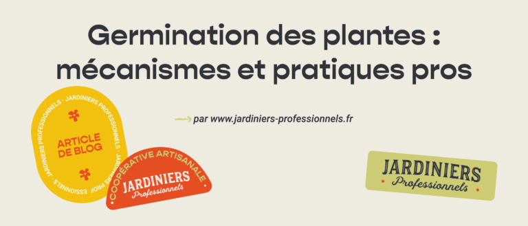germination plante