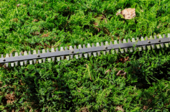 Maintenance outil jardinier