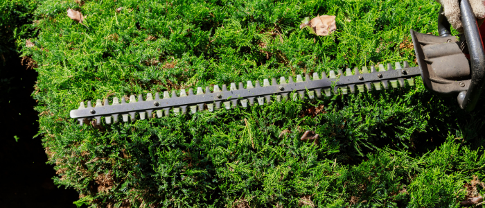 Maintenance outil jardinier