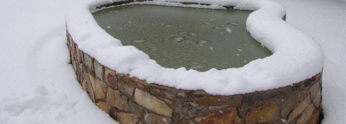 bassin en hiver