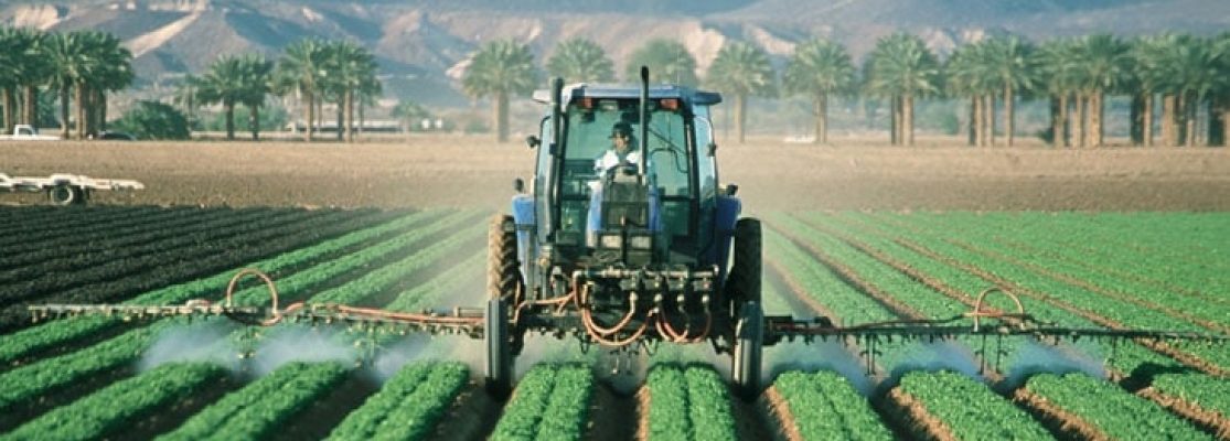 Désinformation des Pesticides - Savez Vous ce que Vous Consommez ?