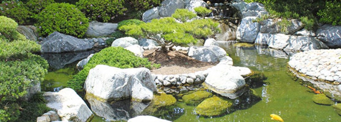 Elements Typiques Jardins Japonais - Jardiniers Professionnels