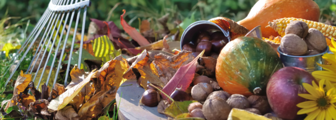 feuilles et légumes d'automne dans le jardin
