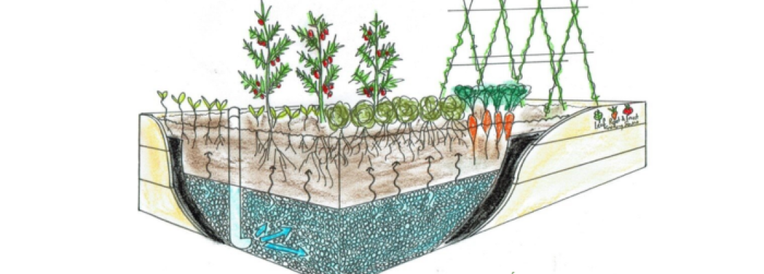 Wicking bed