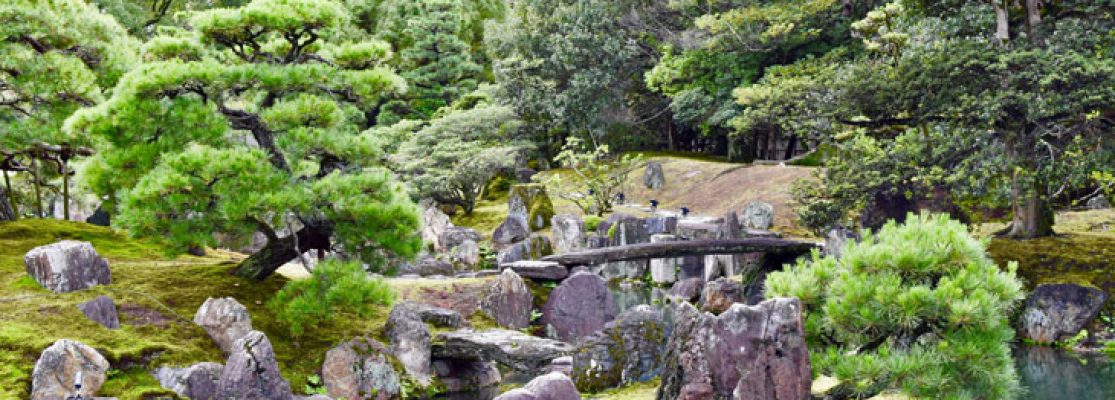 jardins japonais à visiter en France