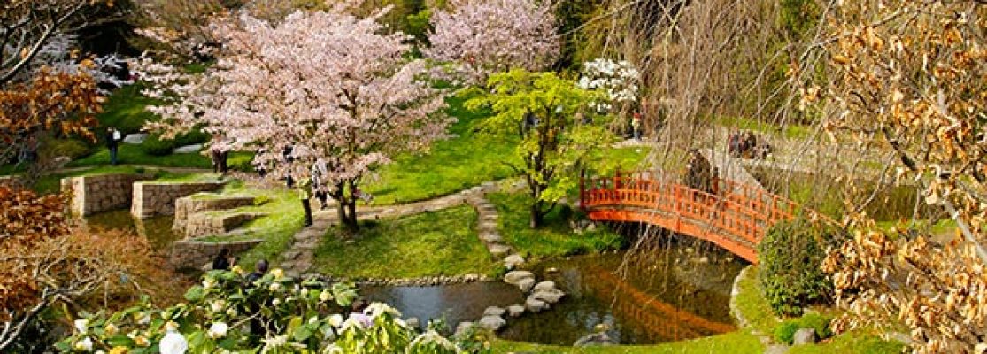 Jardins Japonais - Jardiniers Professionnels
