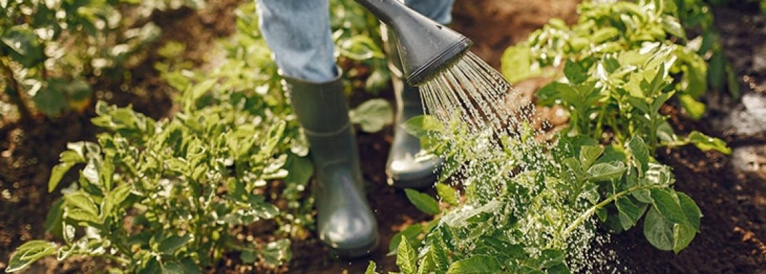 les risques et équipements liés au métier de jardinier paysagiste