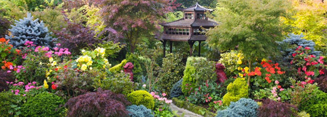 Plantes Pour Jardin Japonais - Plante pour Jardin Japonais Zen
