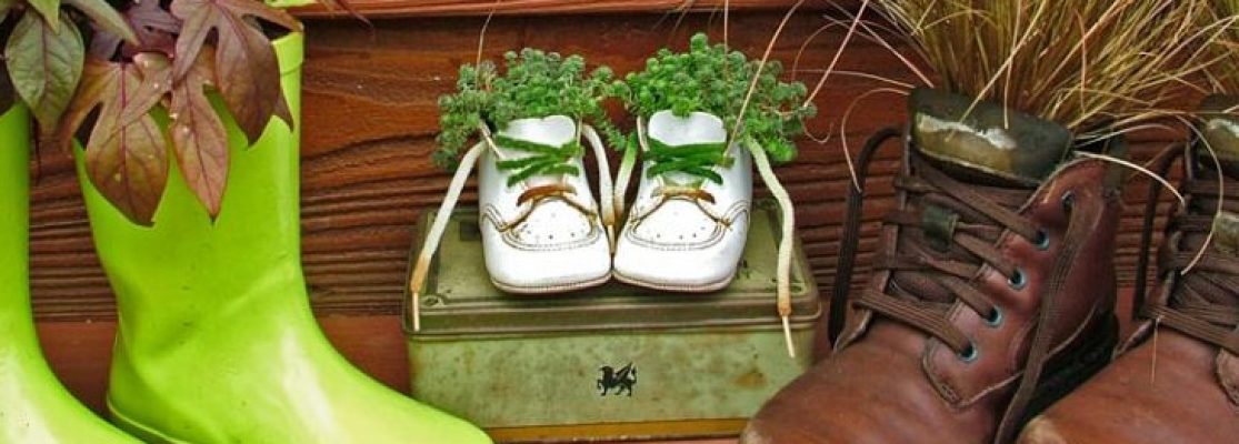 fleurs qui poussent dans des chaussures