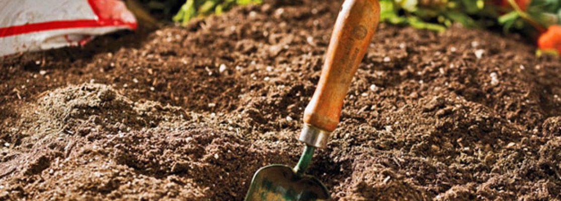 potager-de-septembre-preparation-pour-lautomne-jardiniers-professionnels