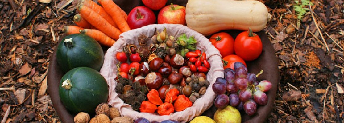 Fruits et légumes d'automne - Récolte des Fruits et Légumes d'automne
