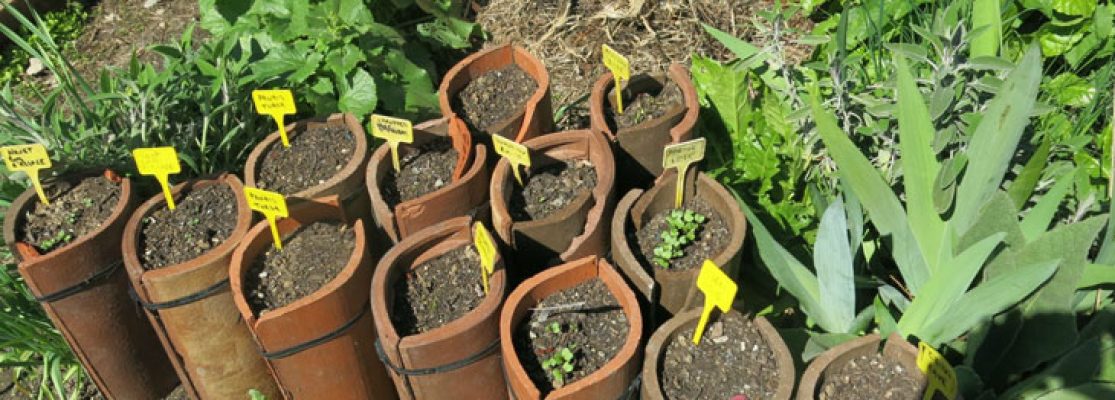 Recycler des Tuiles pour Cultiver des Légumes Racines